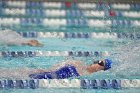 Swimming & Diving vs Babson  Swimming & Diving vs Babson College. - Photo by Keith Nordstrom : Wheaton, Swimming